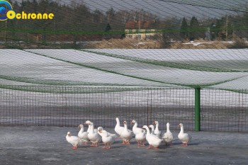 Siatki Sokołów Podlaski - Zabezpieczenia ptaków hodowlanych dla terenów Sokołowa Podlaskiego